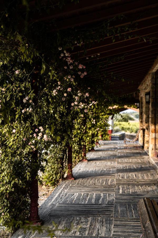 Quinta Da Faisca - Agro Turismo Villa Favaios Buitenkant foto